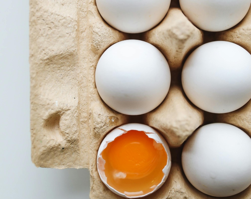 Protein Rich Diet-1-2