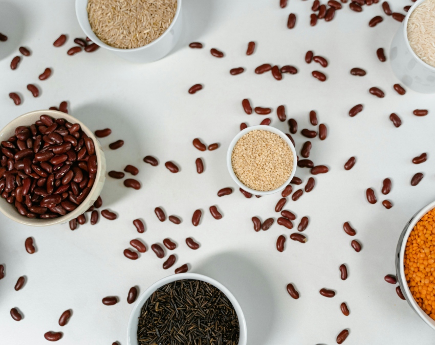 Protein Rich Diet-1-2-3-4-5