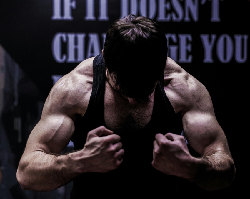 Protein Rich Diet-1-2-3-4-5-6-7-8