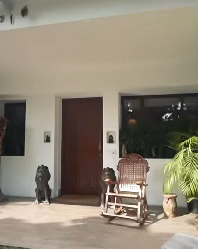 Raghav Chadha Bjp Joining News 2026-1-2-3