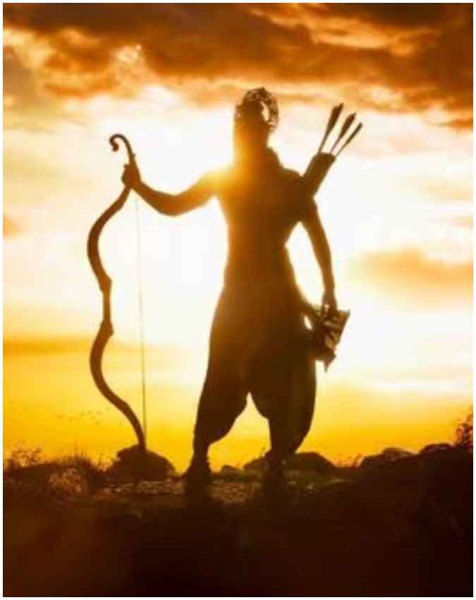 एनिमल का कलेक्शन