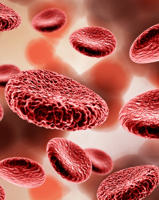 Hemophilia men Problem Bleeding-1-2-3-4-5-6