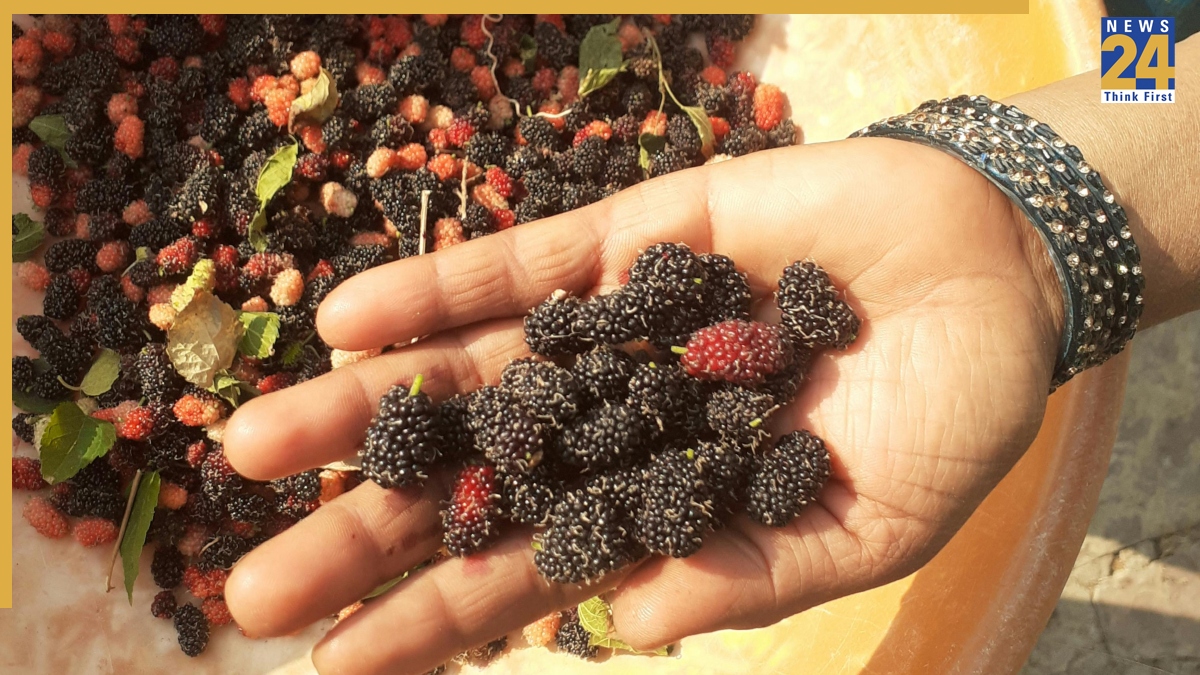 Sahtoot Health Benefits-1