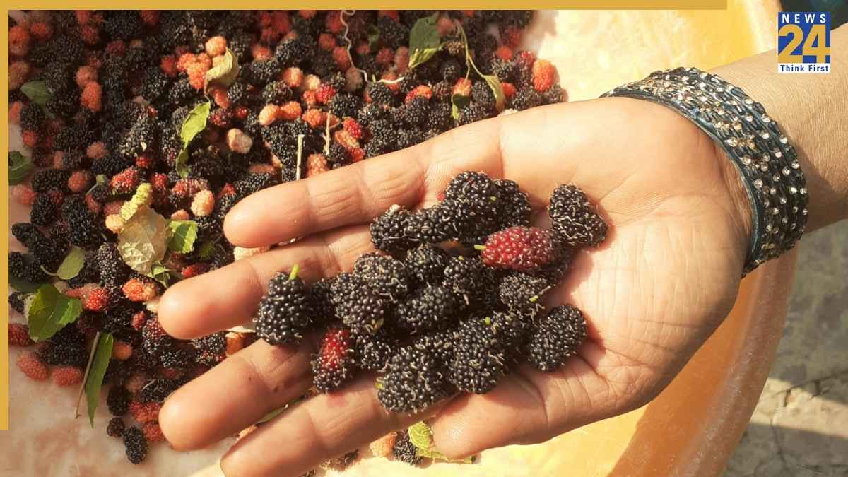 Sahtoot Health Benefits