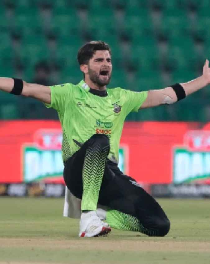 शाहीन शाह अफरीदी 
