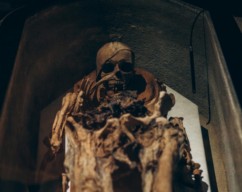 Ramesses Ii Passport-1-2-3-4-5-6