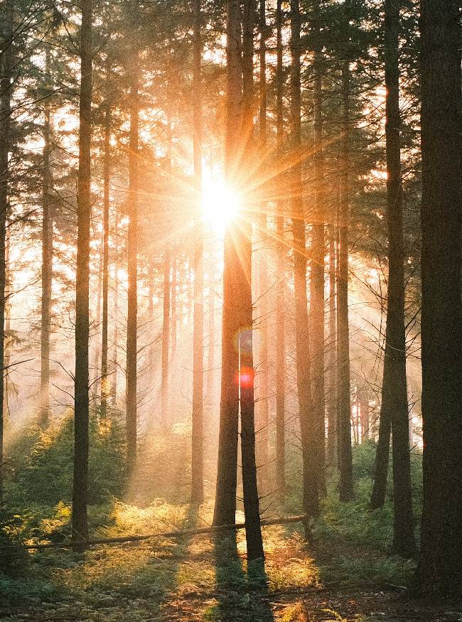 NASA Supercomputer Prediction-1-2-3-4