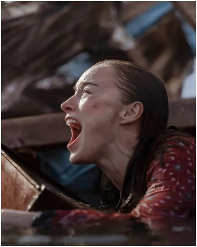 Thrash-1-2-3-4-5-6-7