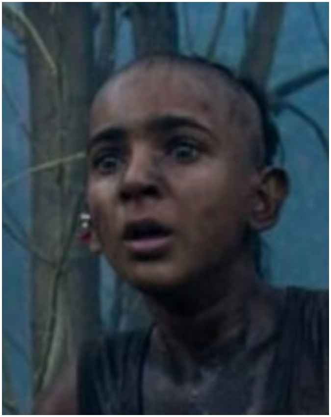वर्ल्डवाइड कलेक्शन