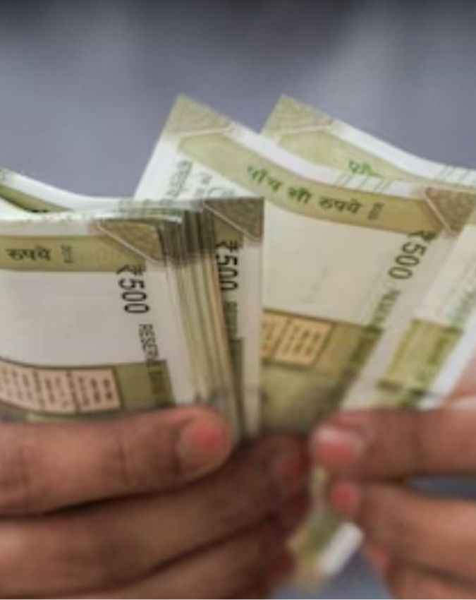खूब कमाते हैं नाम और पैसा 