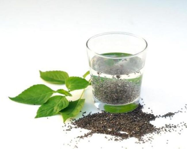 Tukmalanga Seeds Eating Benefits-1-2-3