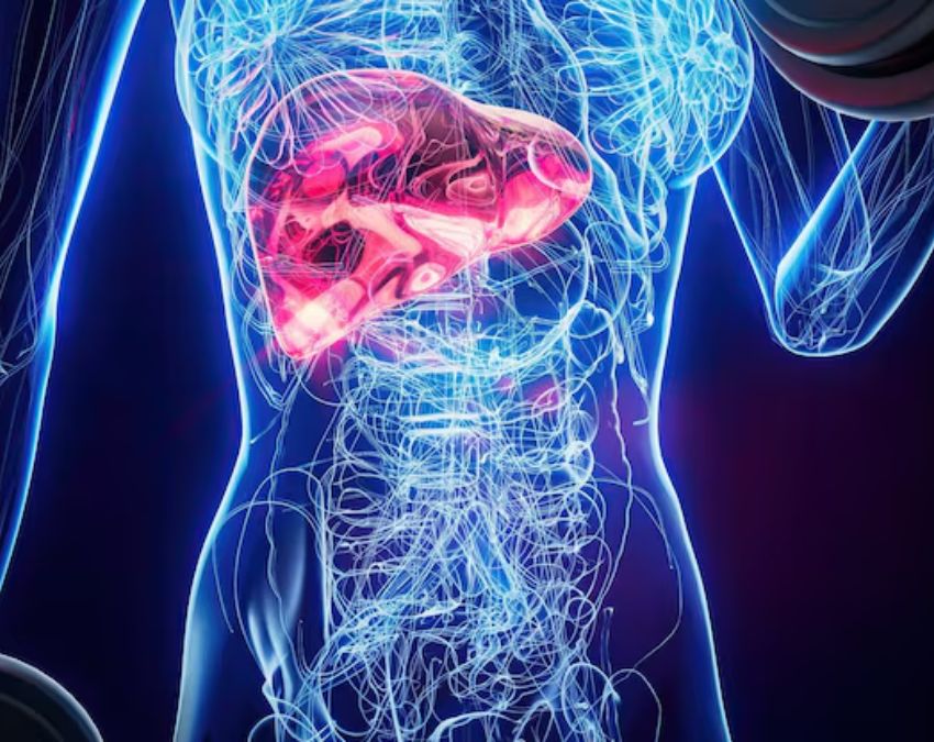 Fatty Liver Problem Fatty Liver Problem-1-2