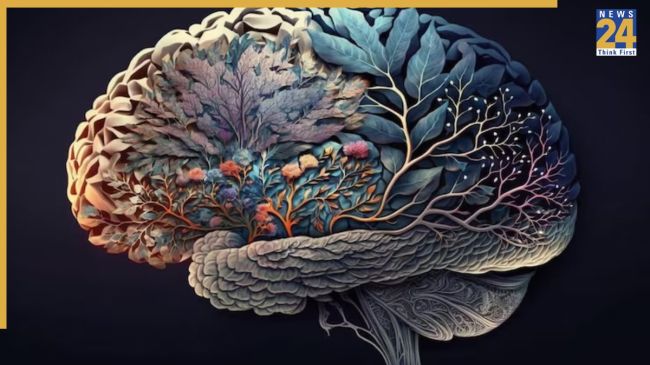 Habits To Quickly Aging Brain