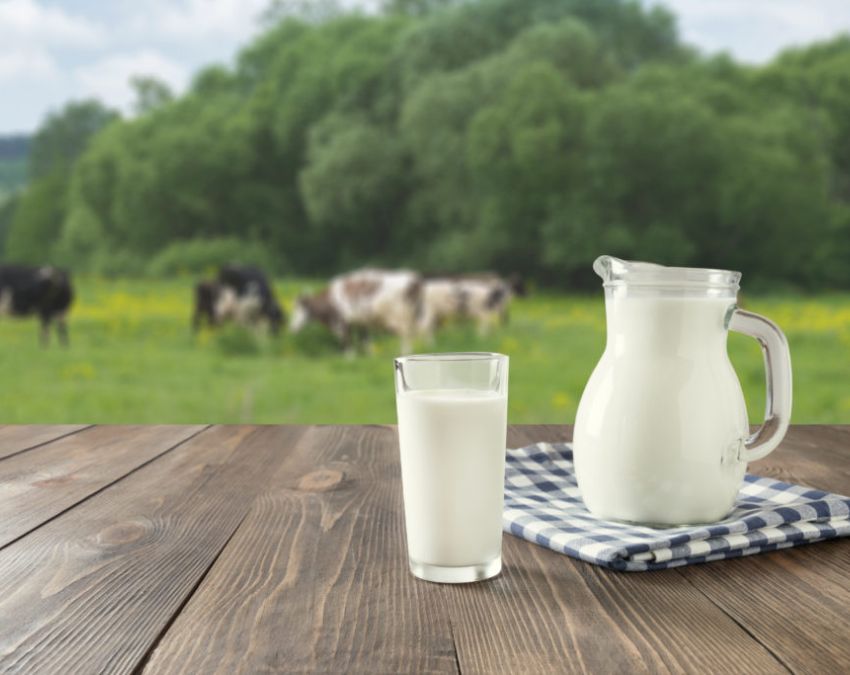 Amul milk price USA-1-2-3-4