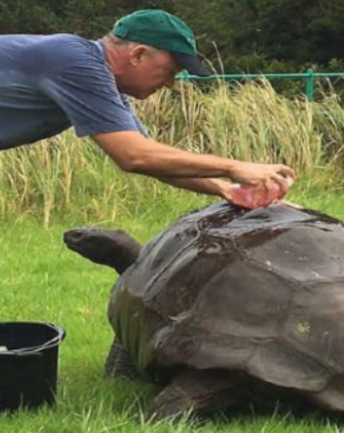World’s Oldest Living Animal ‘Jonathan World’s Oldest Living Animal ‘Jonathan-1-2-3-4-5-6
