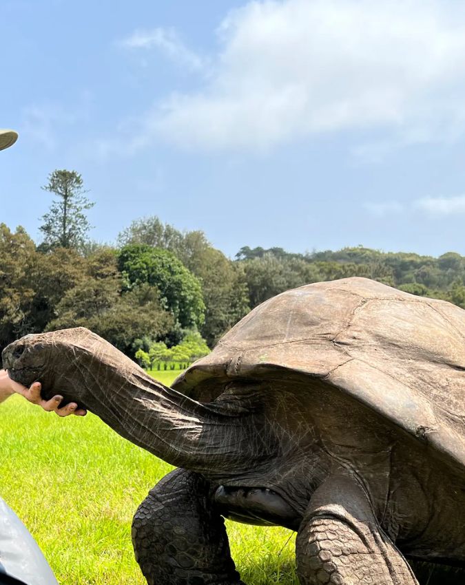 World’s Oldest Living Animal ‘Jonathan World’s Oldest Living Animal ‘Jonathan-1-2-3-4-5-6-7-8-9