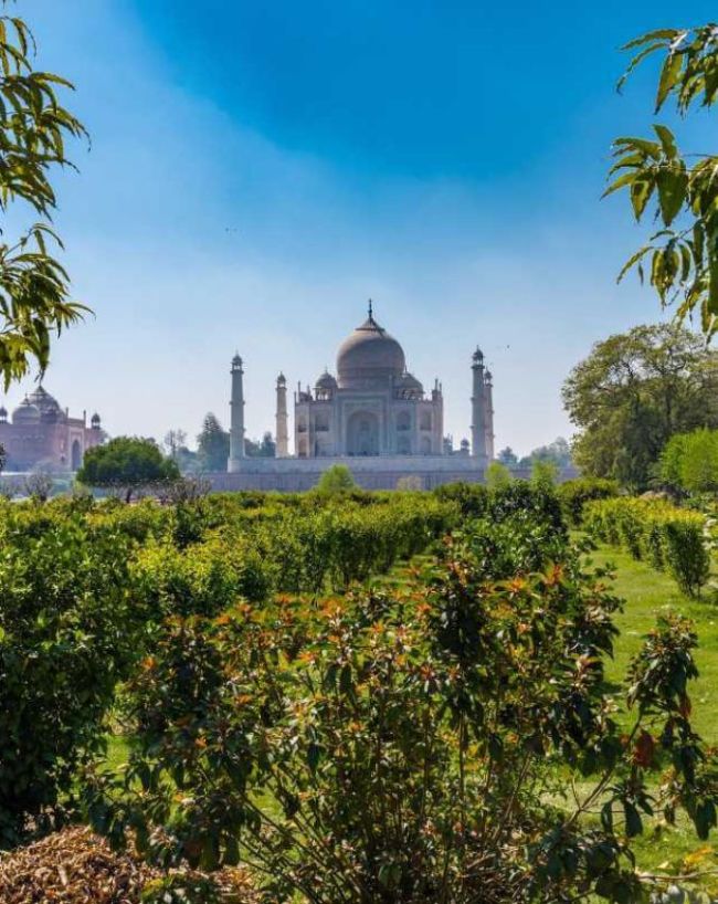 Black Tajmahal-1-2-3-4-5-6