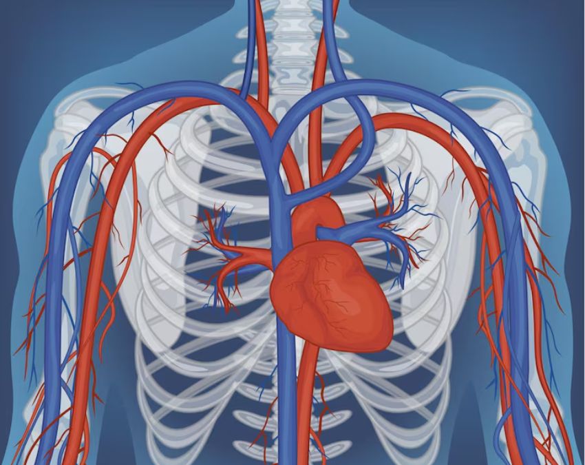 Sleep disorders and management-1-2-3-4