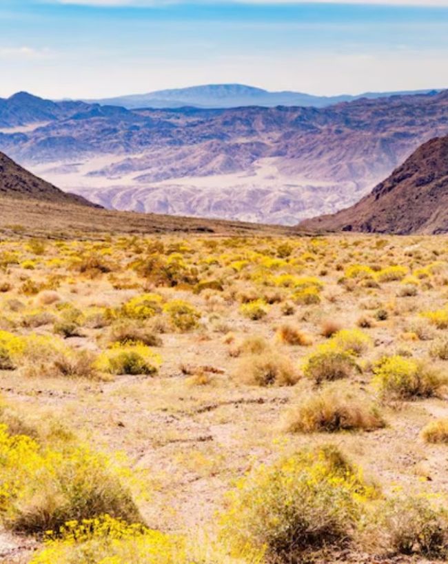 5 Places in the World Where It Almost Never Rains-1-2-3-4-5-6