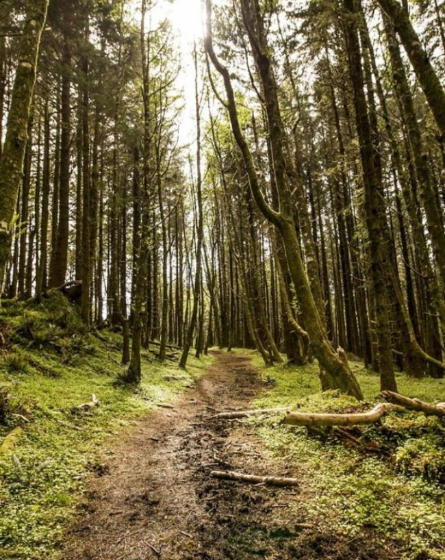 Chanakaya Niti-1-2-3