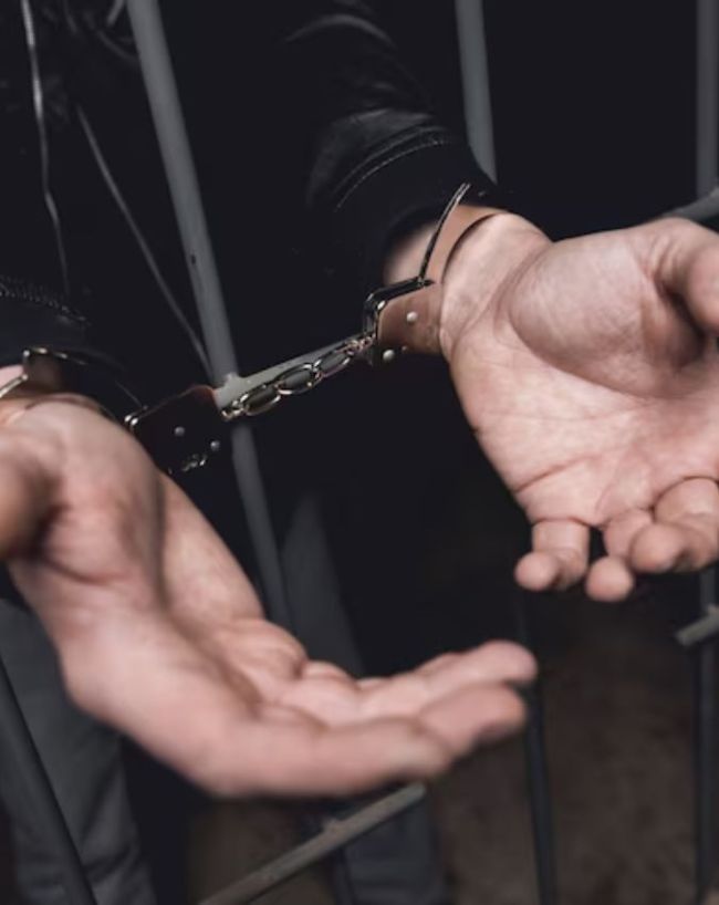 Who Cannot Be Arrested in India-1-2-3-4