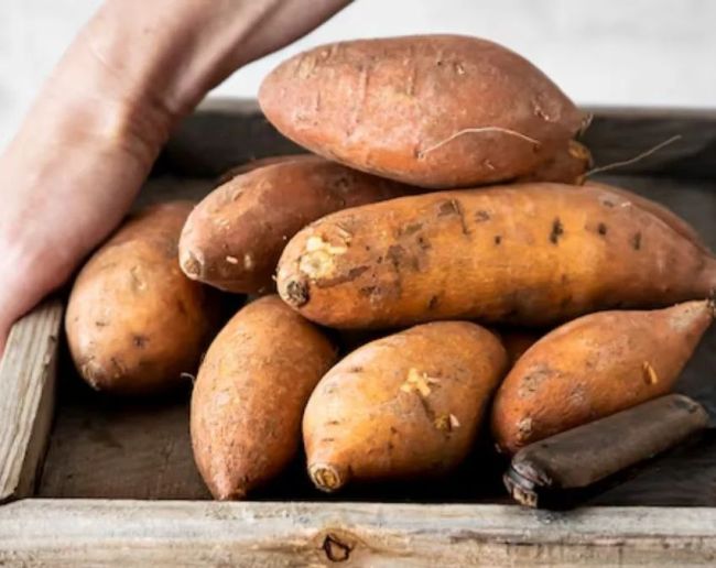 Foods For Eyesight-1-2-3-4-5-6