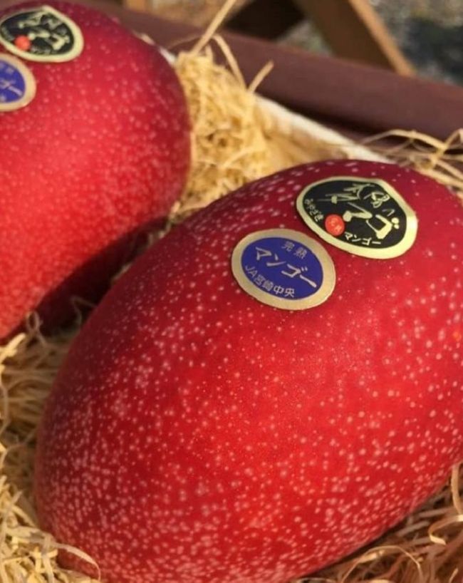 World’s Most Expensive Fruits-1-2-3-4-5