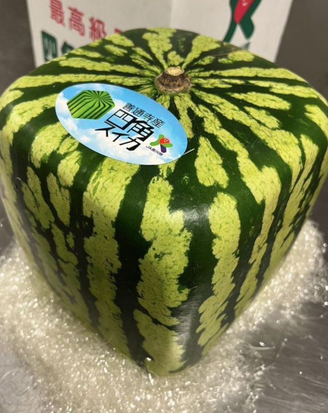 World’s Most Expensive Fruits-1-2-3-4-5-6-7