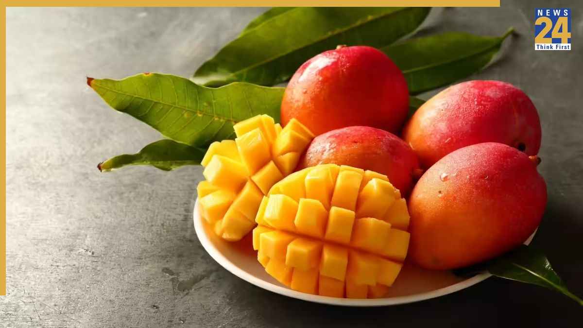 Real and Fake Mango