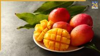 Real and Fake Mango