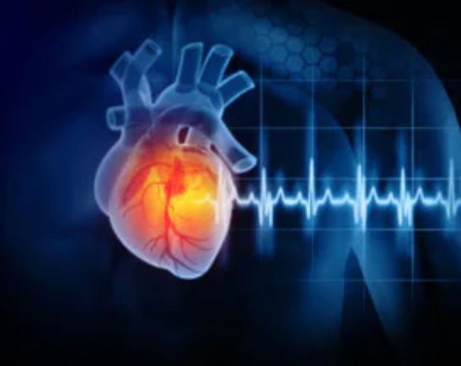 What Causes Low Heart Rate-1-2-3-4