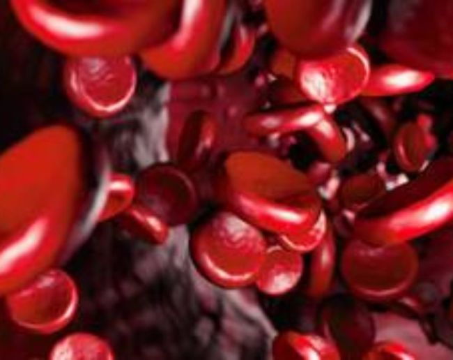 Insaan Ka Khoon Kala Hona-1-2-3-4