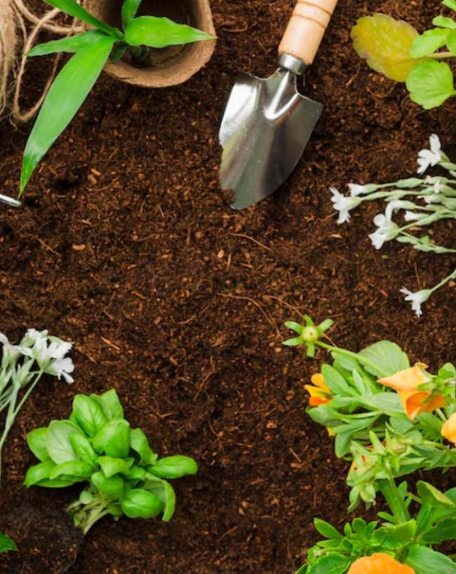 kitchen waste to fertilizer-1-2