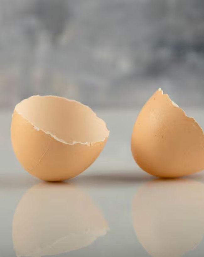 kitchen waste to fertilizer-1-2-3-4-5-6