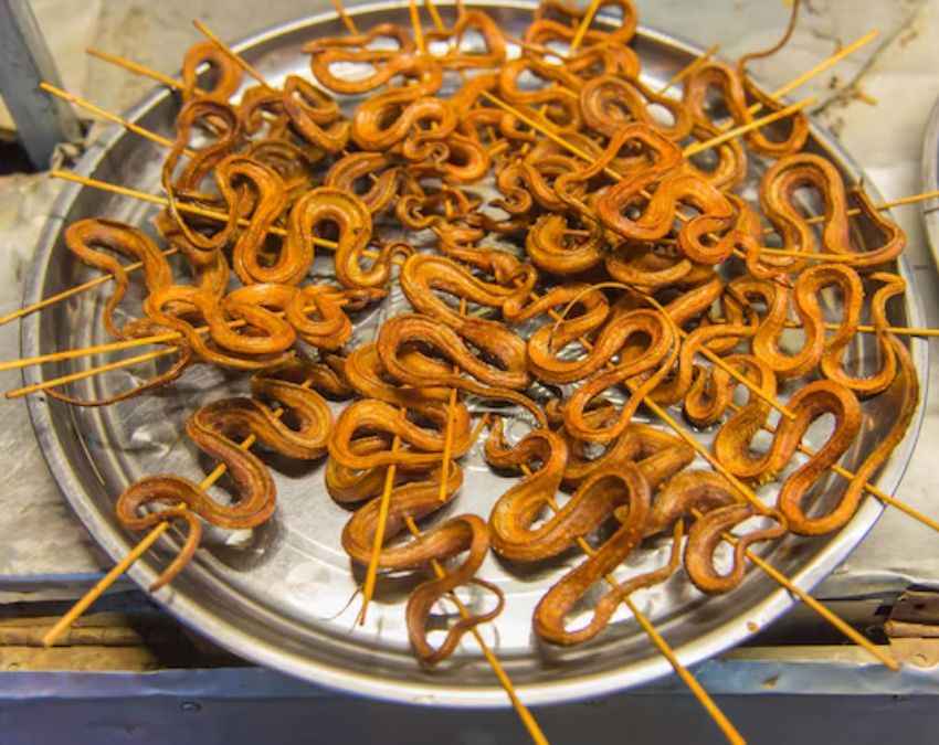 कोबरा के पकौड़े हैं पसंदीदा  