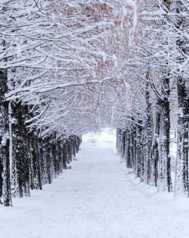 Does Snow Fall in Space-1-2-3