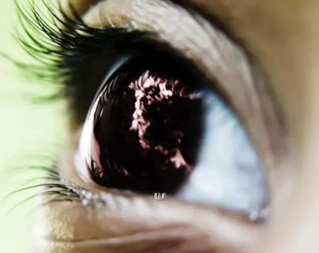 Which Cleanest Part In Our Body-1-2-3