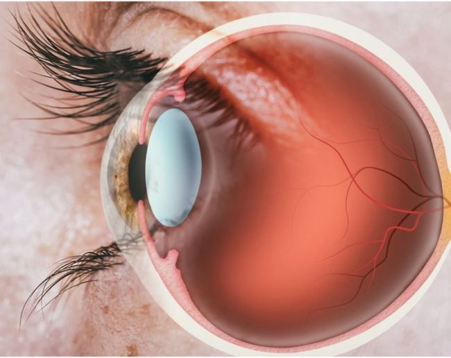 Which Cleanest Part In Our Body-1-2