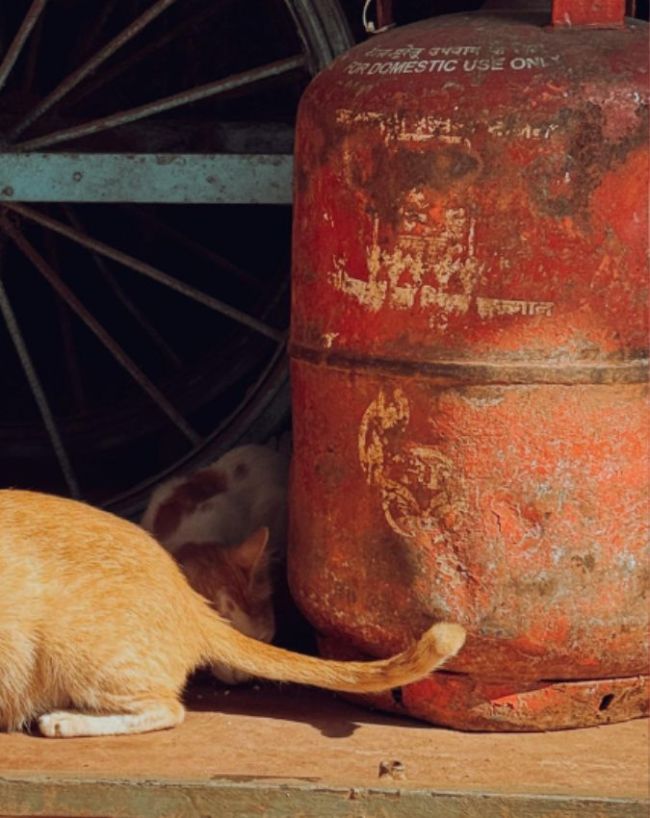 LPG Delivery Rules 2026-1-2-3-4