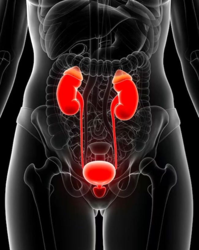 Log Kyu Patle Duble Hote Hain-1-2-3-4-5