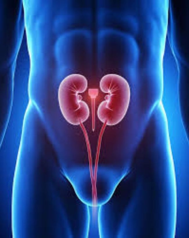 urine problems in female-1-2-3-4-5-6