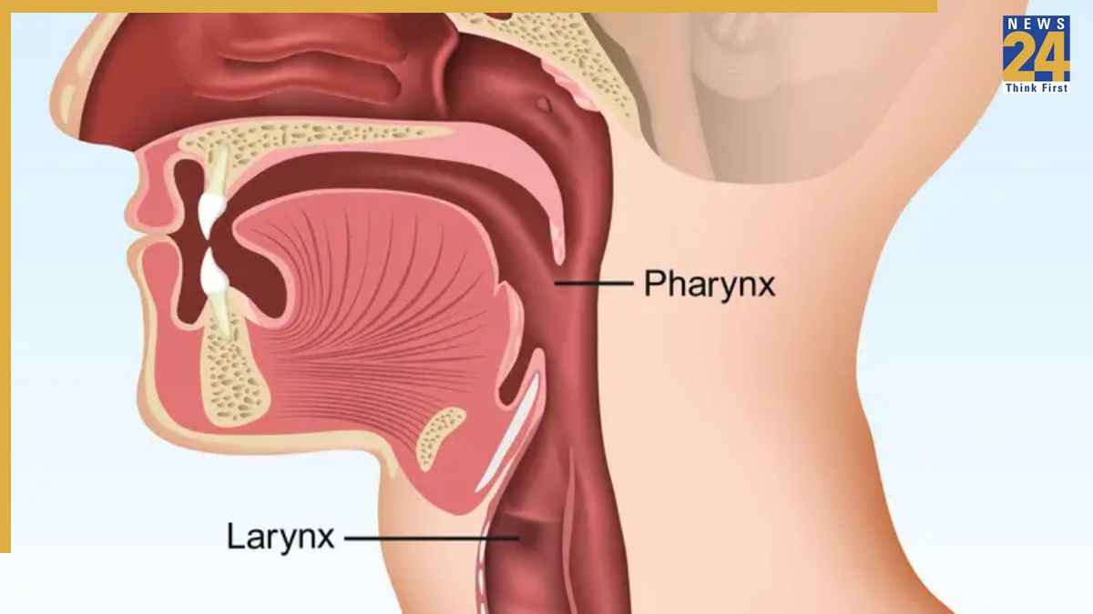 Throat Cancer Signs