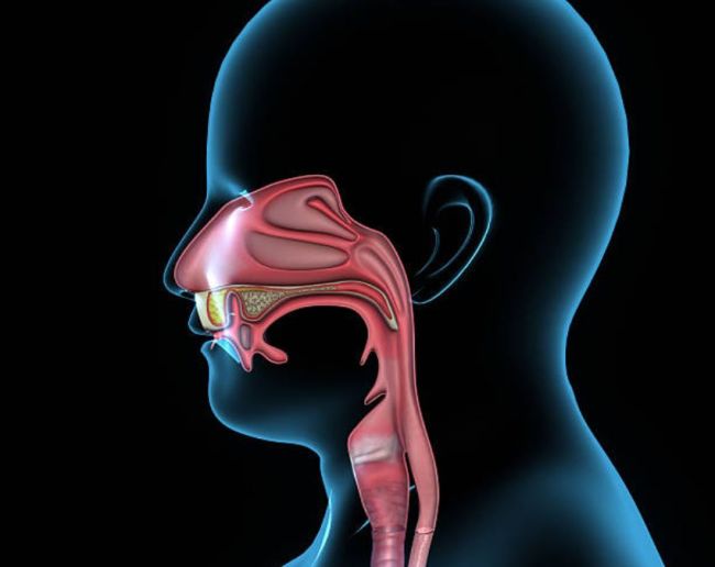Throat Cancer Signs-1-2