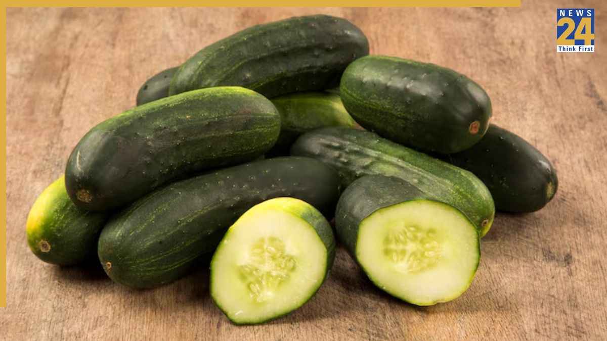 Cucumber Eating Benefits