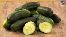 Cucumber Eating Benefits