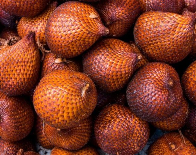 Saap Jaisa Fruit Konsa Hai-1-2