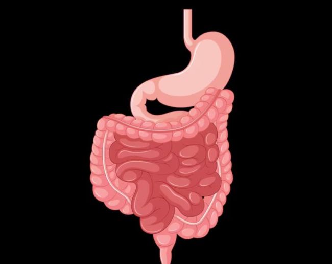 Potty Ka Colour Kaisa Rahega-1-2-3-4