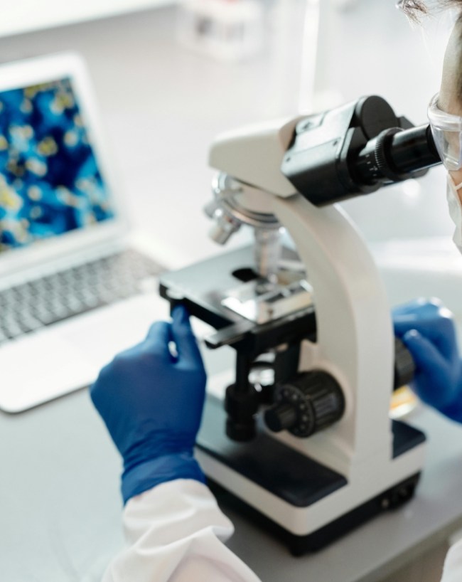 Cow Urine Gold Research-1-2-3-4-5-6-7