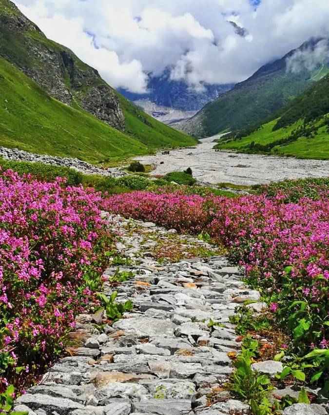 फूलों वाली घाटी