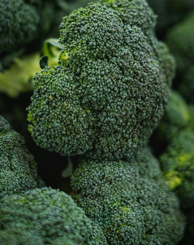 diseases caused by vitamin K deficiency-1-2-3-4-5-6